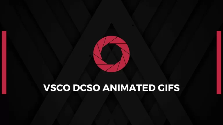 VSCO DSCO: The Key to Mesmerizing Animated GIFs