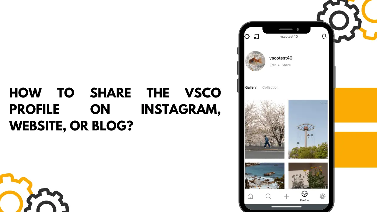 How-to-share-my-VSCO-profile-on-my-Instagram